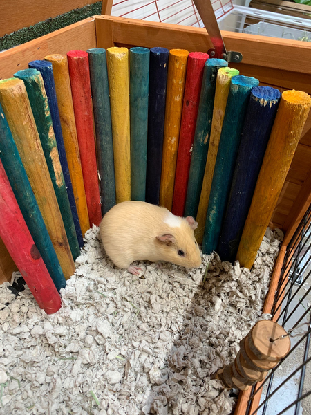 Image showcasing Fleabag